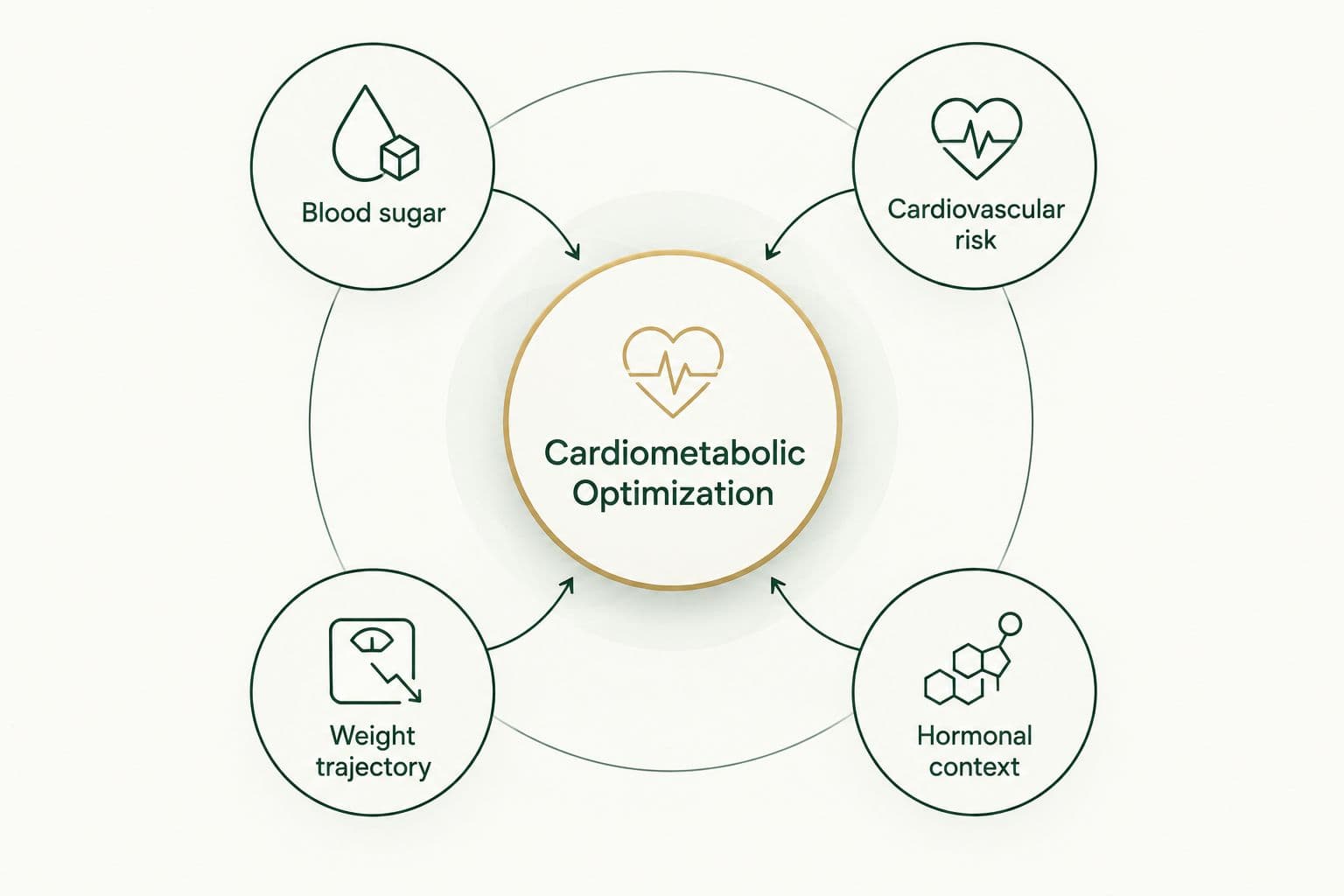 Cardiometabolic Optimization connects blood sugar, cardiovascular risk, weight trajectory and hormonal context.