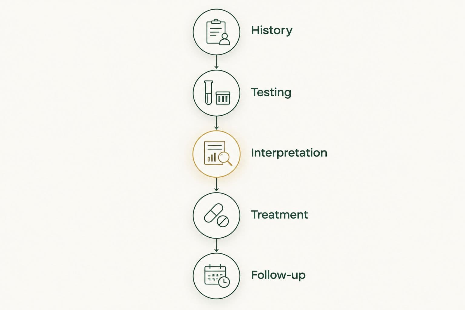 Five stages of metabolic care from medical history through follow-up