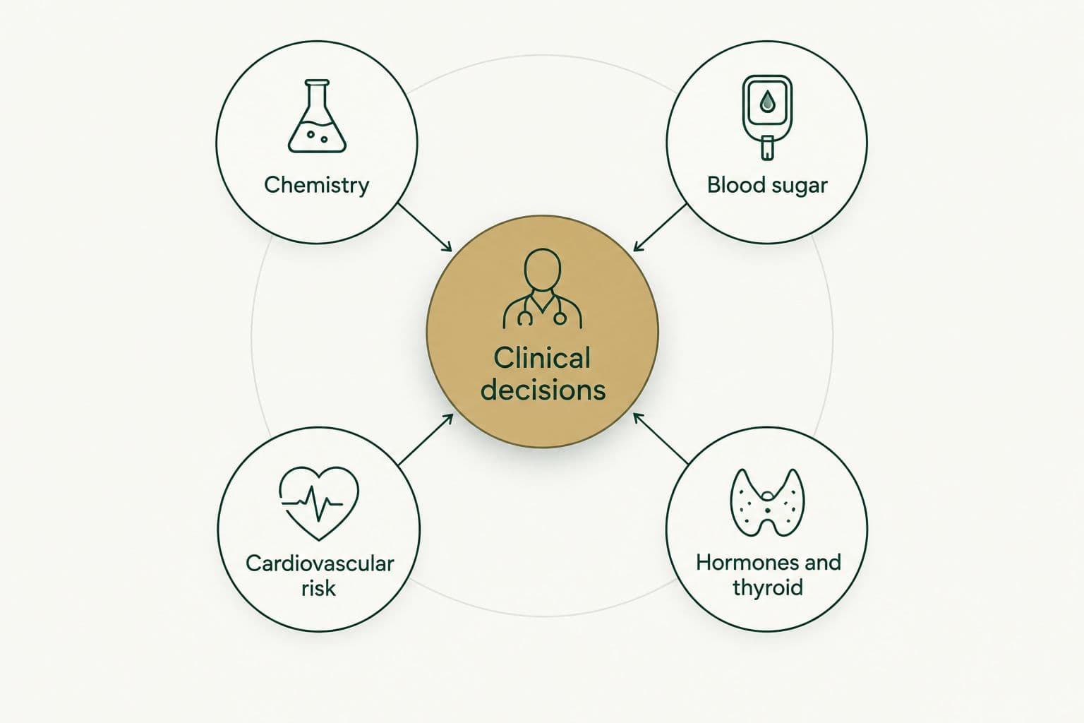 Chemistry, blood sugar, cardiovascular risk and hormone information connect to clinical decisions.