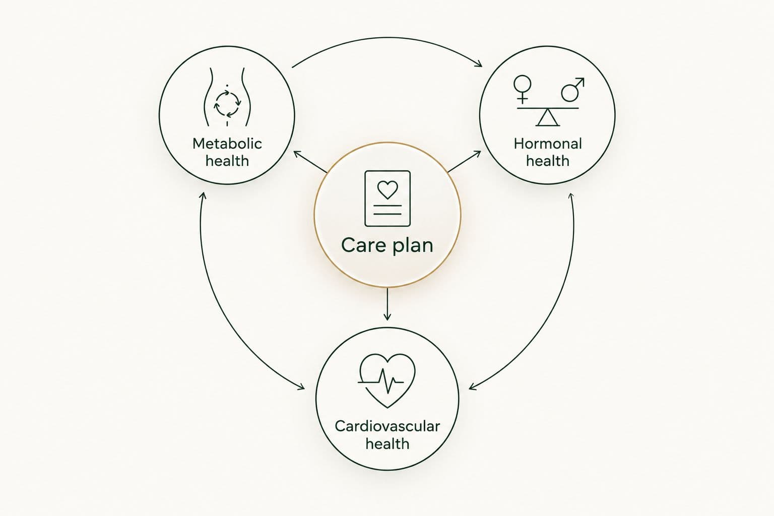 A care plan connecting metabolic, hormonal and cardiovascular health