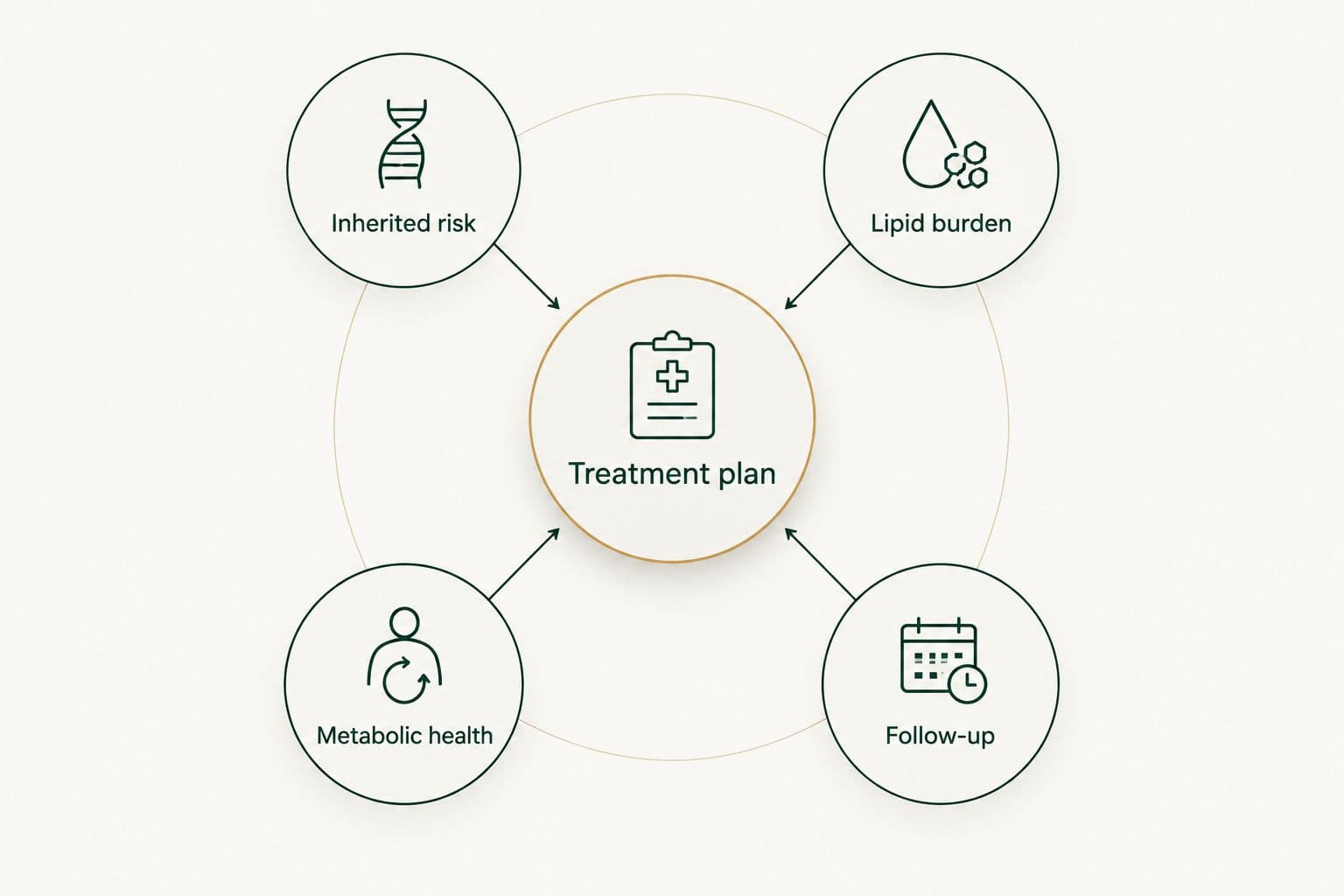 A treatment plan connects inherited risk, lipid burden, metabolic health and follow-up.